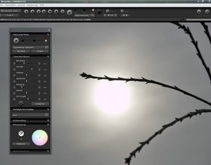 Sigma Pink Clipping -SD15 Pink Clipping 3.jpg