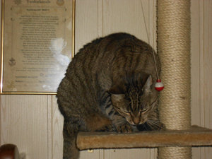 DSCN0651.JPG DSCN0651.JPG