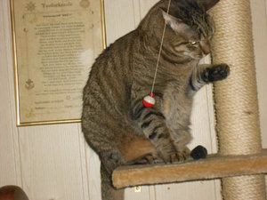 DSCN0652.JPG DSCN0652.JPG