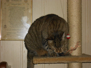 lecker.jpg lecker.jpg