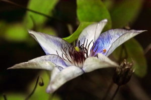 sample 8.jpg sample 8.jpg