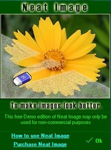 NI_6-0.jpg NI_6-0.jpg