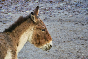 UT-Wpt-SD14 - SDIM3179.jpg