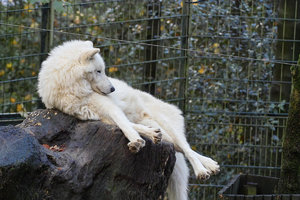 UT-Wpt-SD14 - SDIM3185.jpg