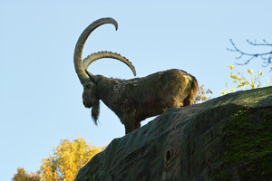 UT-Wpt-SD14 - SDIM3137.jpg