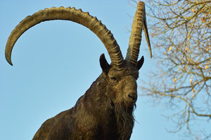 UT-Wpt-SD14 - SDIM3144.jpg