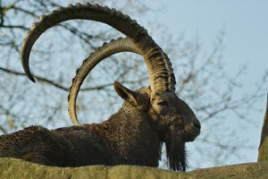 UT-Wpt-SD14 - SDIM3146.jpg