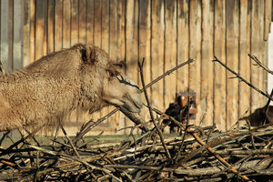 UT-Wpt-SD14 - SDIM3156.jpg