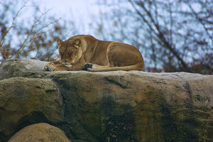 UT-Wpt-SD14 - SDIM3169.jpg