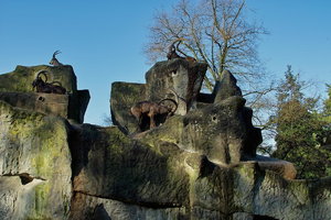 UT-Wpt-SD14 - SDIM3151_1.jpg