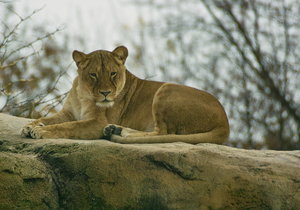 UT-Wpt-SD14 - SDIM3166_1.jpg