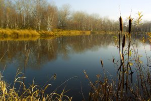 SDIM4050.jpg SDIM4050.jpg