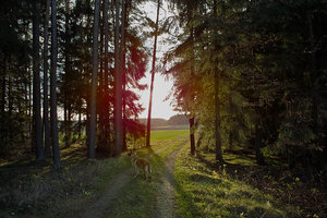 SDIM1124.jpg SDIM1124.jpg