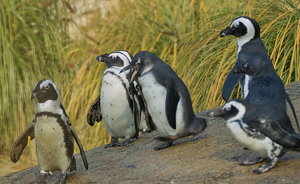 UT-Wpt-SD14 - SDIM3124_1.jpg