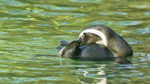 UT-Wpt-SD14 - SDIM3129_1.jpg