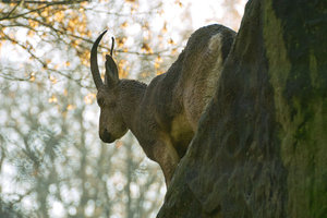 UT-Wpt-SD14 - SDIM3134.jpg