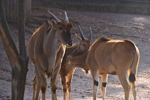 UT-Wpt-SD14 - SDIM3147_1.jpg