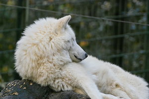 UT-Wpt-SD14 - SDIM3186_1.jpg