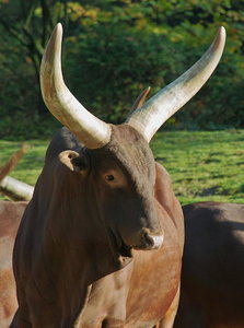 UT-Wpt-SD14 - SDIM3153_1.jpg