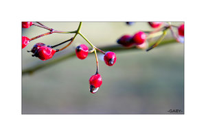 SDIM0895.jpg SDIM0895.jpg