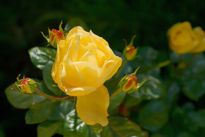 SDIM6580_1-1_filtered Kopie.jpg