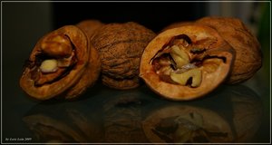 nuss [Original Auflösung].jpg