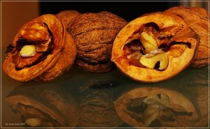 nuss2 [Original Auflösung].jpg