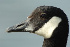 uebersicht2.JPG uebersicht2.JPG