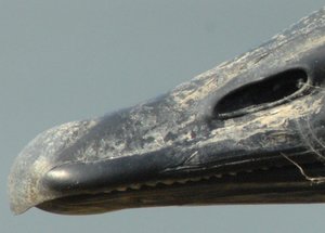 uebersicht2_crop.JPG uebersicht2_crop.JPG