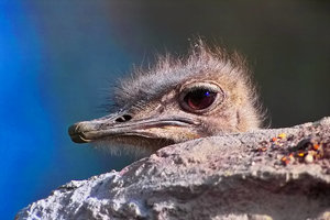 sample 8.JPG sample 8.JPG