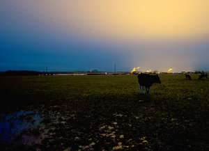 SDIM9255.jpg SDIM9255.jpg