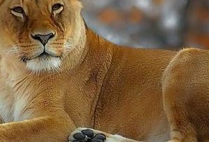 Zwischenablage01.jpg Zwischenablage01.jpg