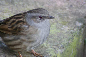 sample 1.jpg sample 1.jpg