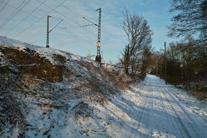 Winter09-SD1 - SDIM1332.jpg