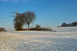 Winter09-SD14 - SDIM3219.jpg