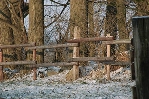 Winter09-SD14 - SDIM3247.jpg