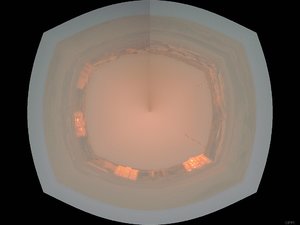 Forum P1110555polar.jpg