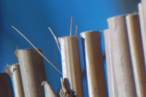 Samyang_2500mm.jpg Samyang_2500mm.jpg