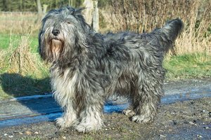 SDIM2977.jpg SDIM2977.jpg