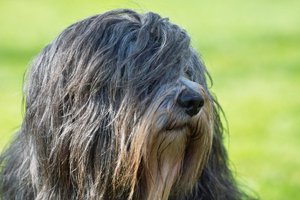 sdim1174.jpeg sdim1174.jpeg