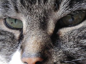 020804-Kopie.jpg 020804-Kopie.jpg