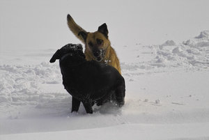 IMG01049.jpg IMG01049.jpg