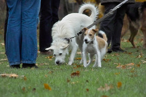 SD14_SDIM5226.jpg SD14_SDIM5226.jpg