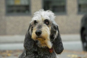 SD14_SDIM5275.jpg SD14_SDIM5275.jpg