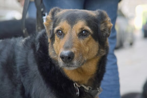 SD14_SDIM5356.jpg SD14_SDIM5356.jpg