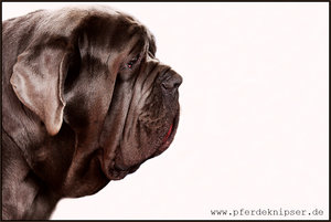 IMG_8716c.jpg IMG_8716c.jpg