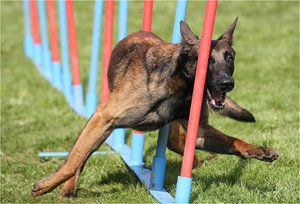 IMG_7708.jpg IMG_7708.jpg