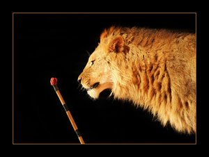 ID0W3201a.jpg ID0W3201a.jpg