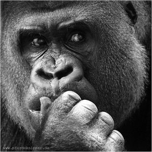 IMG_0044sw.jpg IMG_0044sw.jpg