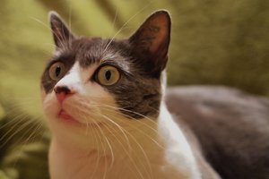 Nov. 2011-11-06 103.JPG